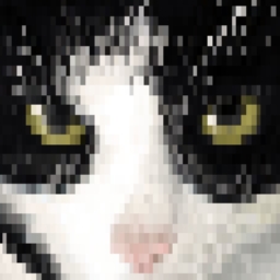 Avatar of user Grimalxin