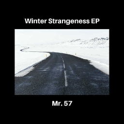 Cover of track What goes on inside your head when opening gifts by Mr. 57
