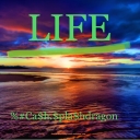 Cover of album Life by august