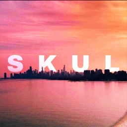 Avatar of user s k u l