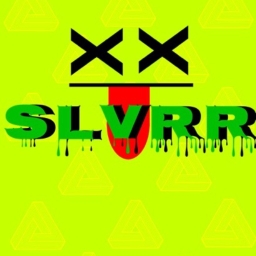 Avatar of user SLVRR