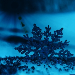 Avatar of user Snowfire