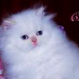 Avatar of user humasigno