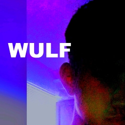 Avatar of user WUULF