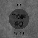 Cover of album Top 40 Vol 1.1 by bonka