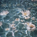 Cover of album Inspirations by Silent Psycho