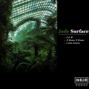 Cover of album Jade Surface by OXBLUD