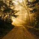 Cover of album Journey by Critical Stop