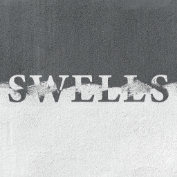 Avatar of user SWELLS