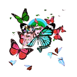 Avatar of user reyvaz