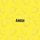 Avatar of user Andui
