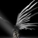 Avatar of user TheValDiAngelo