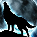 Avatar of user Wolfrunner1322