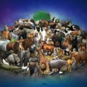 Cover of album To Many Animals! by Darude Sandstorm