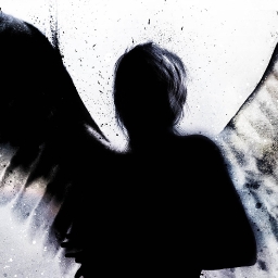 Avatar of user SħAÐ㊉W RISE ANÐ ₣ALL