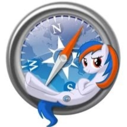 Avatar of user safari_pony