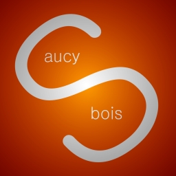 Avatar of user saucy bois