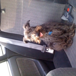 Avatar of user brennan_smith