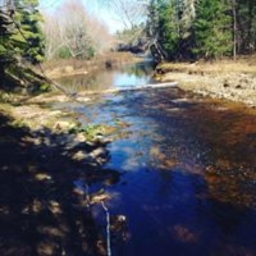 Avatar of user max_parsons