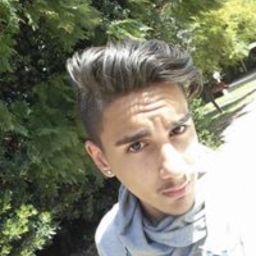 Avatar of user roei_