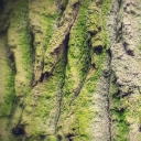 Avatar of user Jadwig