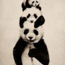Cover of album Panda's Great Adventure  by Pandi Panda
