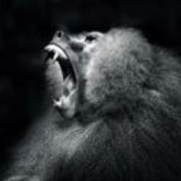 Avatar of user buk_bukt