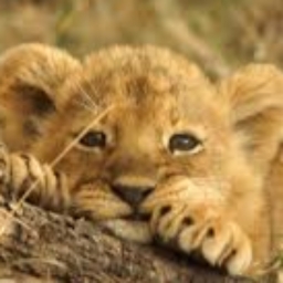 Avatar of user janmichael_richardson