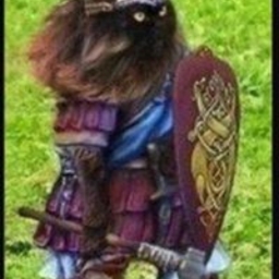 Avatar of user FL0CH4TD0660