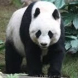 Avatar of user RIP_HARAmb3