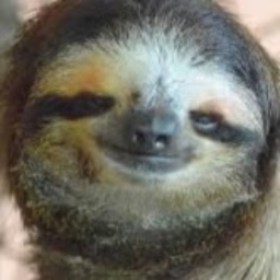 Avatar of user WeMissYouHarambeAndBantu