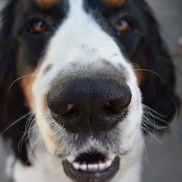 Avatar of user xGNGk4Y20