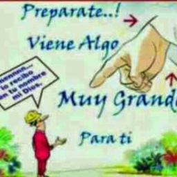 Avatar of user manuelaguas9