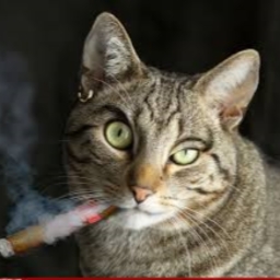 Avatar of user alex314e