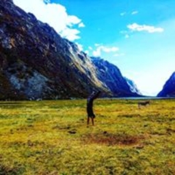 Avatar of user MaxHarkdox