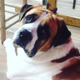 Avatar of user EAZZY2323