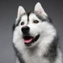 Avatar of user z6CL2k5gd