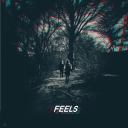 Cover of album feels by chadlinje