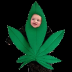 Avatar of user questionablewatermelon
