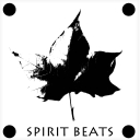Avatar of user S P I R I T B E A T S