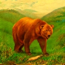 Cover of album The Return Of The Bear by [ALJ] [easy]