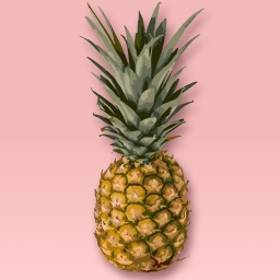 Avatar of user Pineapple³