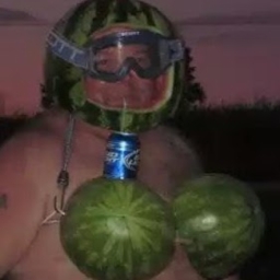 Avatar of user watermelon4man