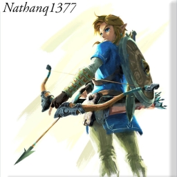 Avatar of user Nathanq1377