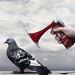 Avatar of user kaostyp@gmail.com