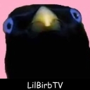 Avatar of user LilBirbTV