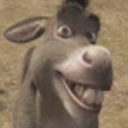 Avatar of user donkey