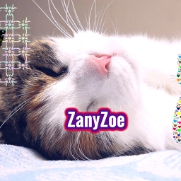 Avatar of user ZanyZoe