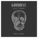 Cover of album Goodbye (feat. Dido) [Single] by Kevin WiRE