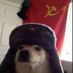 Avatar of user DoggoWithAHat